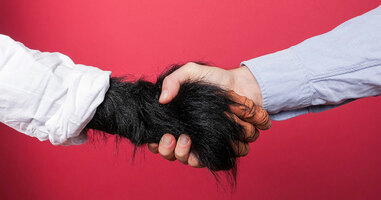 Deliverability for Your Clients