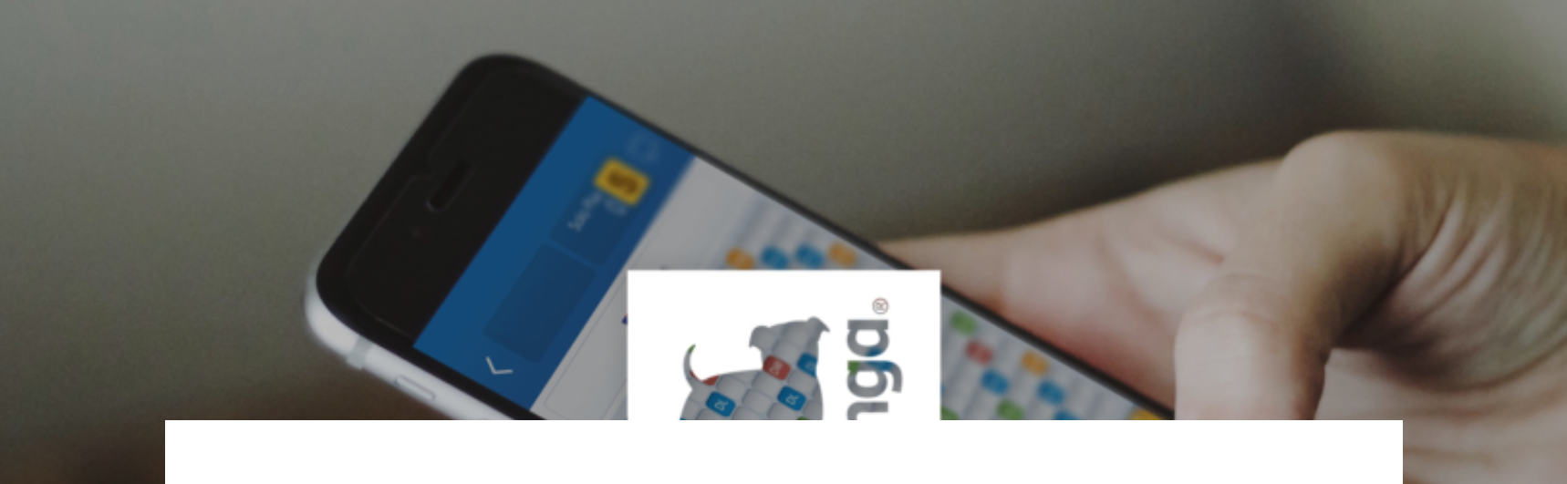 Accuracy, Granularity & QA: Singular Fuels Zynga's Marketing Stack