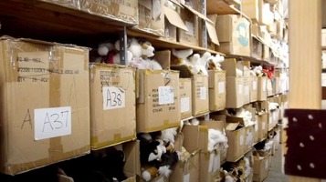 Kiddie Collection | Case Study