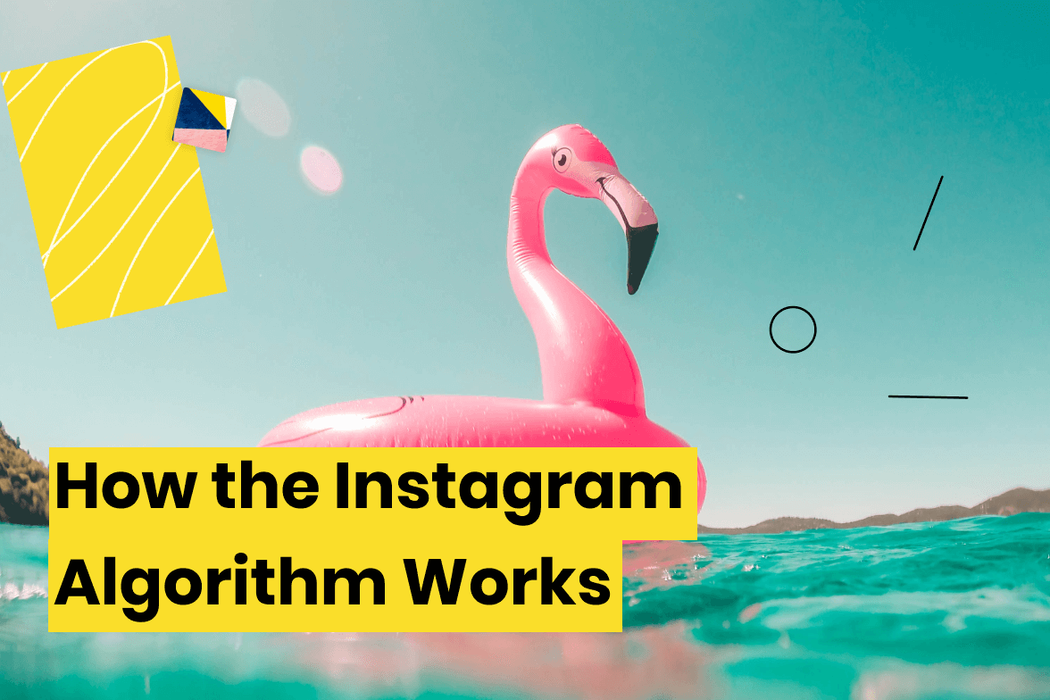 How the Instagram Algorithm Works: Everything You Need to Know|Buffer