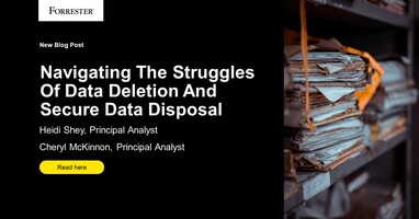 Navigating The Struggles Of Data Deletion And Secure Data Disposal