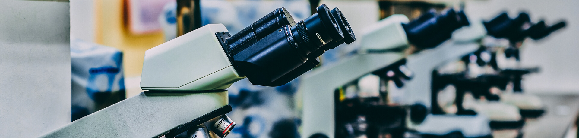 Case Study | Becton Dickinson