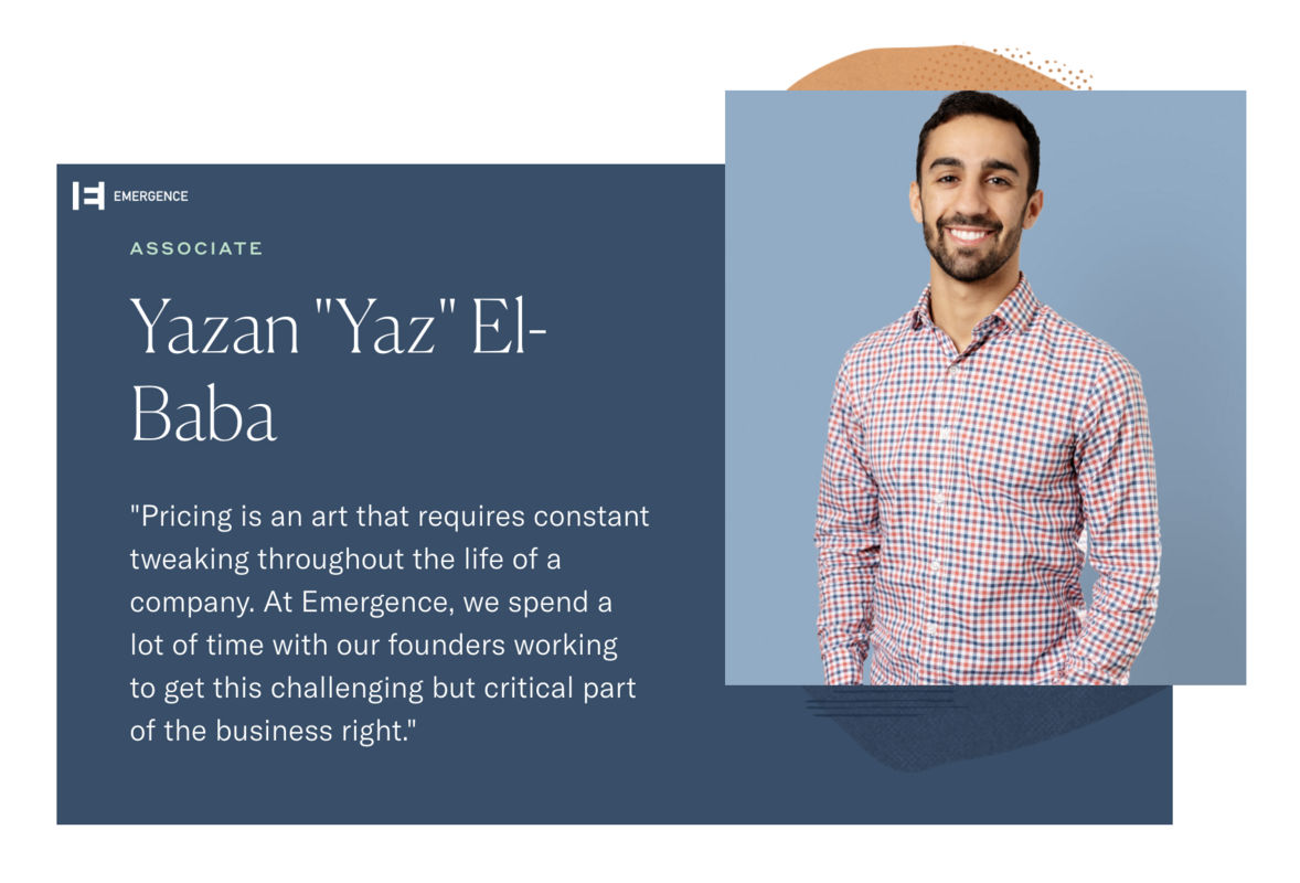 Pricing software is an art that requires constant tweaking through the life of a company. 