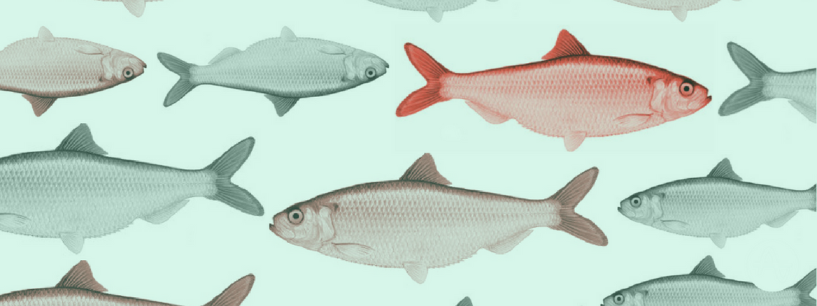 Using Twyman's Law to Avoid Red Herrings in Product Analytics