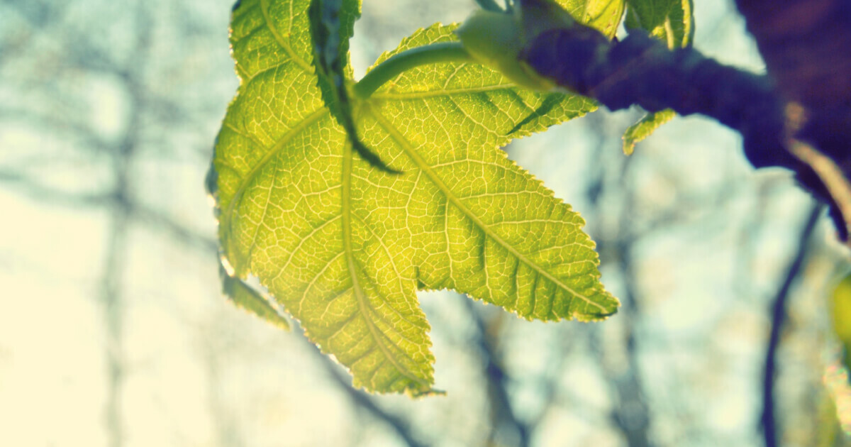 30 Quick Tips to Spring Clean Your Social Media Presence