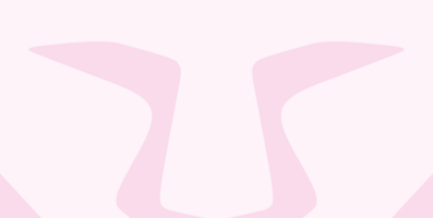 Private (incognito) window