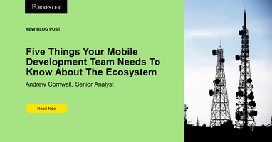 The Five Things Your Mobile Development Team Needs To Know About The Ecosystem