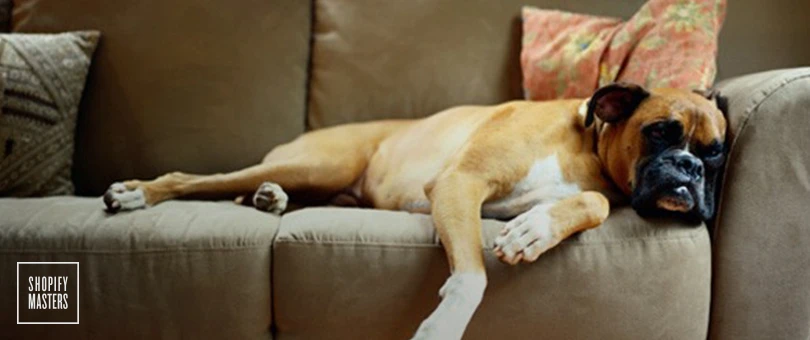 How Treats Happen Launched Their Brand by Going to 30 Trade Shows Last Year