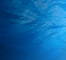 INFUSEmedia Wins 2021 Vega Digital Awards