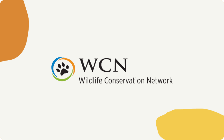 How the Wildlife Conservation Network used Hopin to protect endangered wildlife