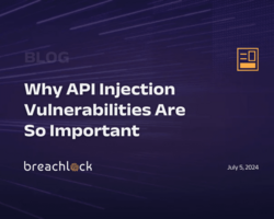 Why API Injection Vulnerabilities Are So Important