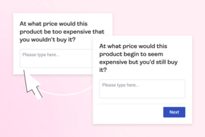 Van Westendorp Price Sensitivity Survey Template