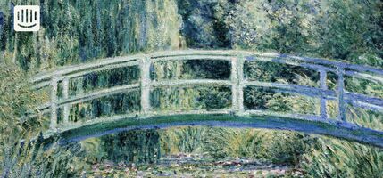 What is voice of the customer?