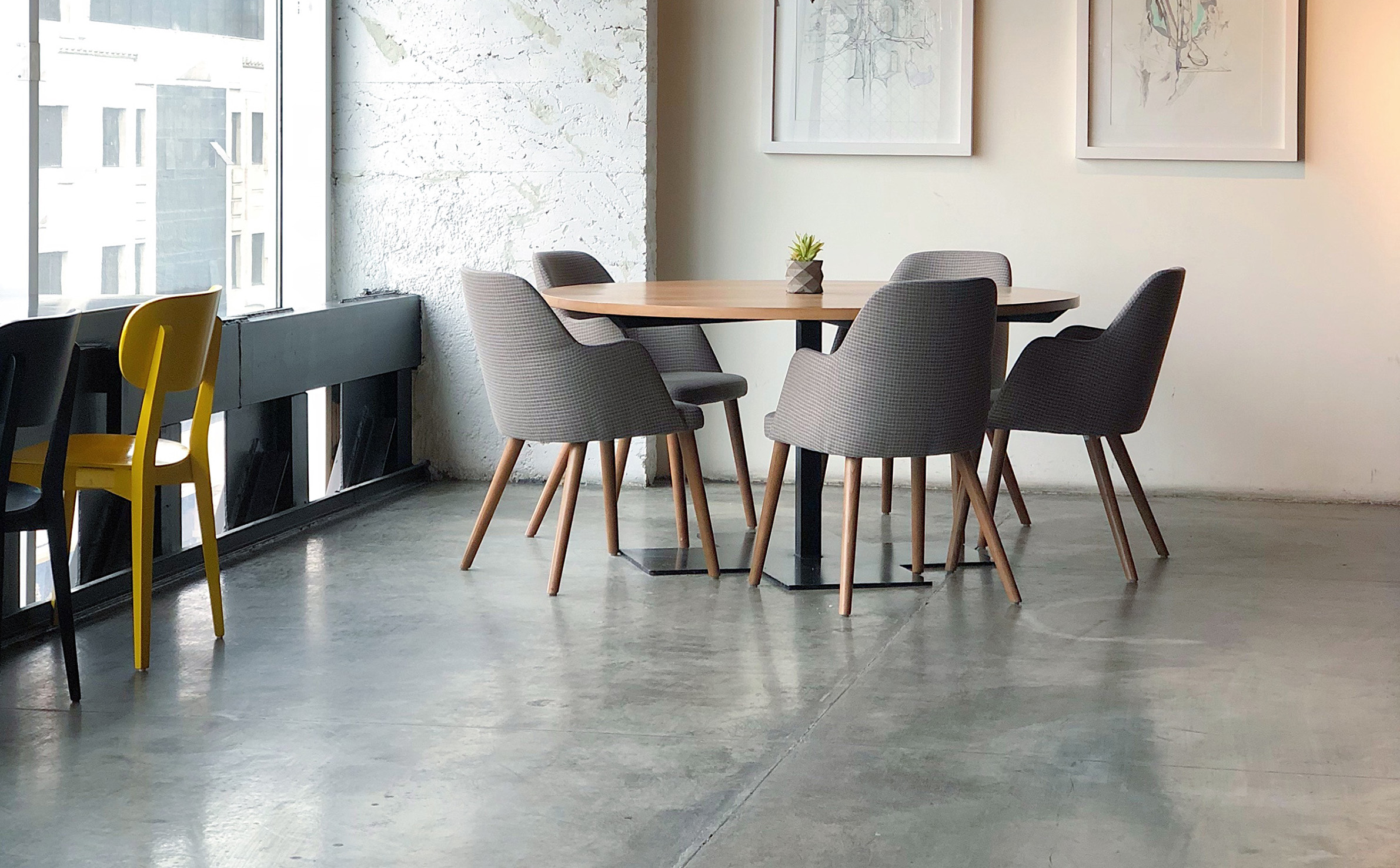 Alameda Decreases Cost-per-Cart by Automating Video Creatives