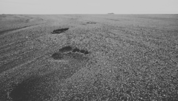 Audit or Bust: Why Enterprise Marketing Ops Can't Trust the Instant Answers of Black Box AI