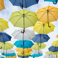 Ultimate guide to commerce content 