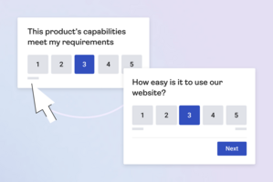 B2B usability survey