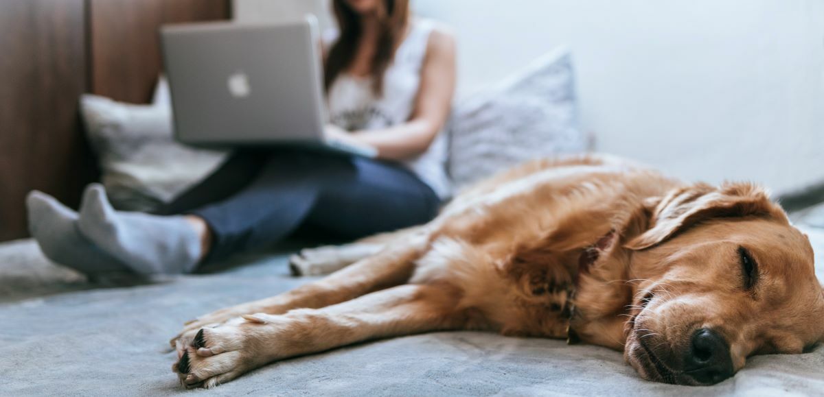 7 Best Practices To Achieve Email Signup Victory