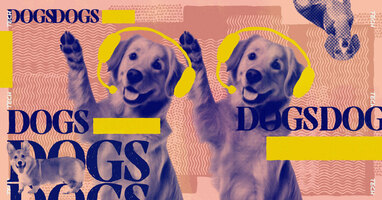 Tech Jobs According to Dog Breeds