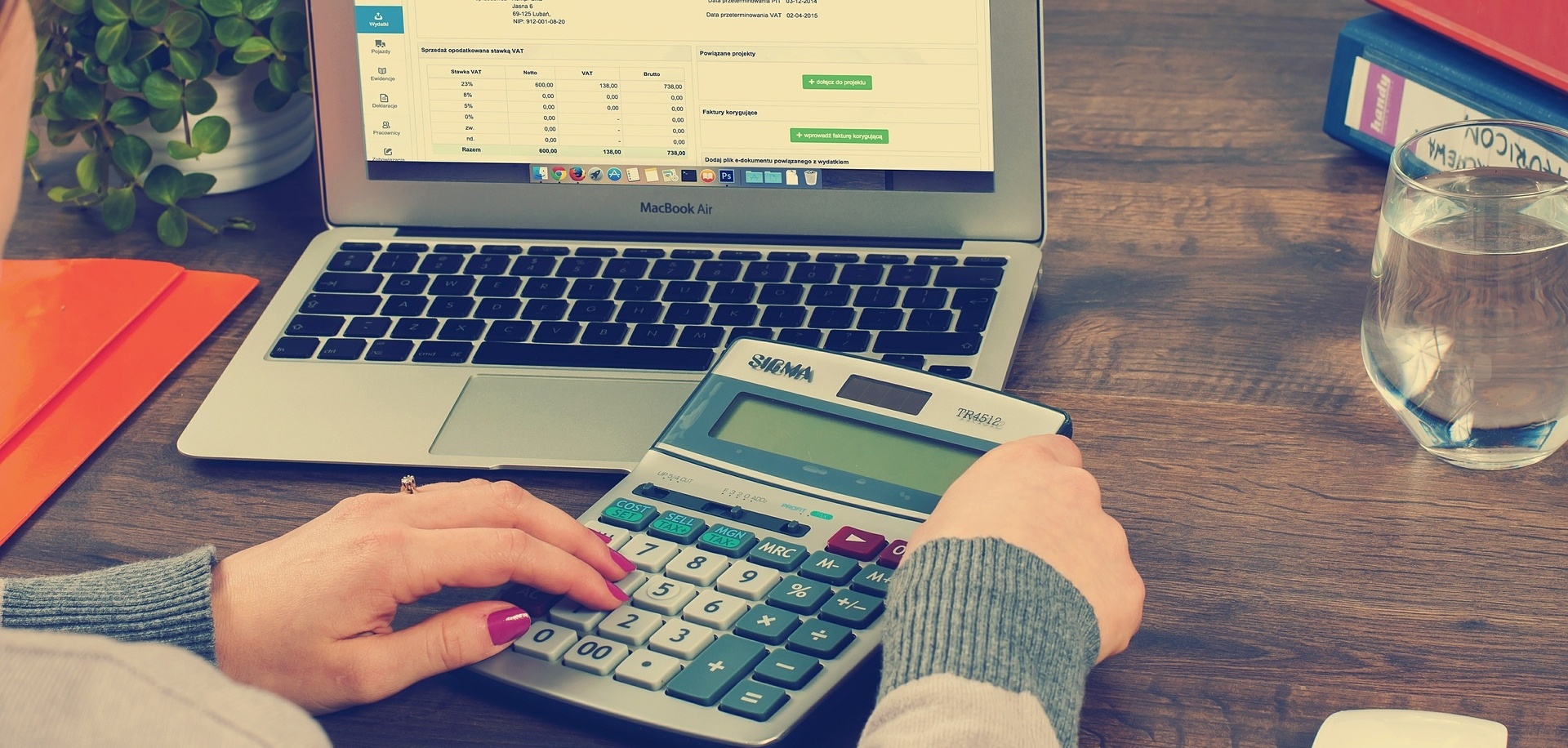 TurboTax Emerges As January's Top Display Advertiser