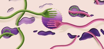 How to Turbocharge Your Career with the Perfect Internship