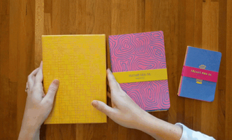 Meg vs. the Book Blunder