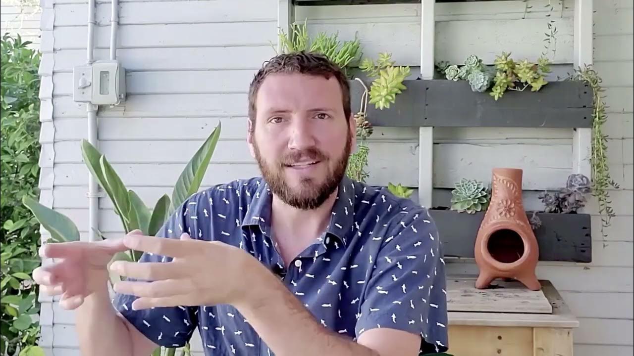 3.3 - The Details: Example CrewTracks | Learn Lifecycle Automation