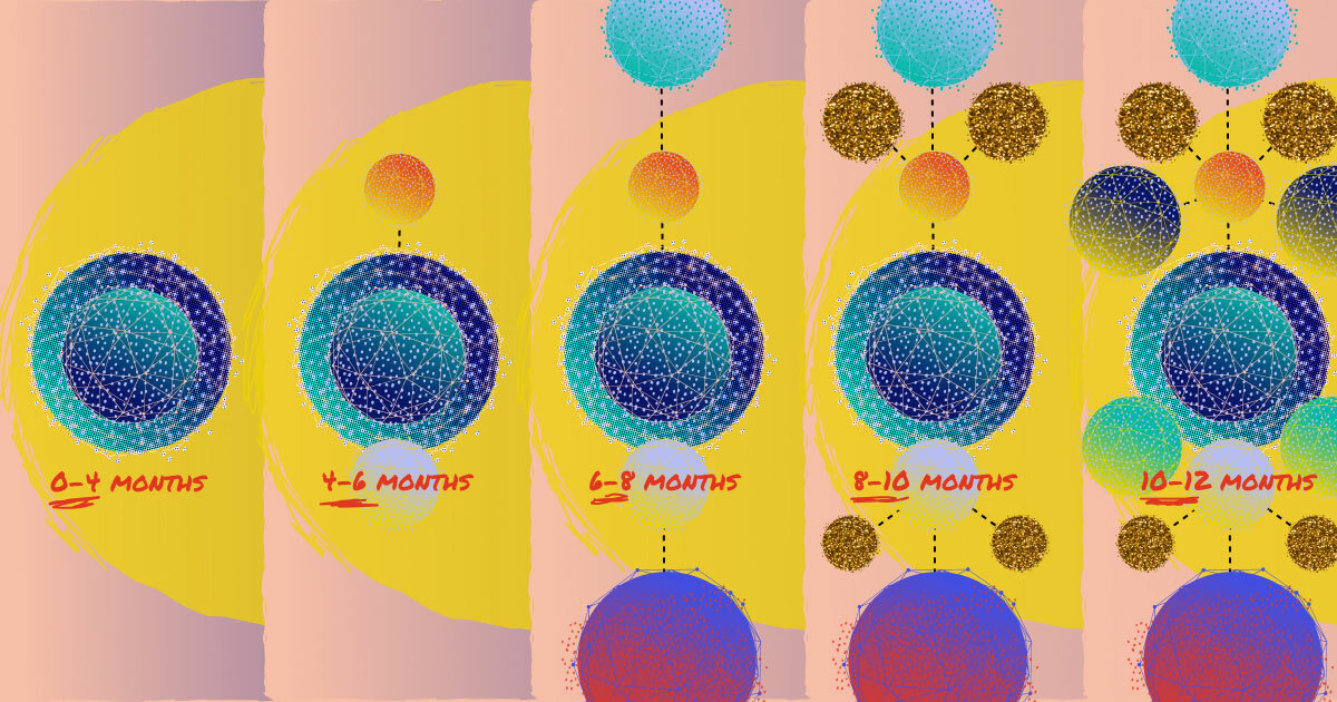 12 Months Later: Signs Your Partner Program Launch Was Successful