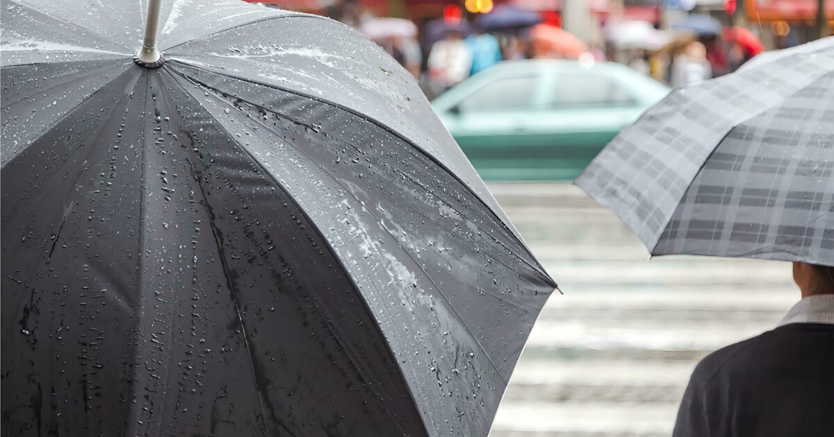 Why All Small Businesses Should Consider Cyber Insurance