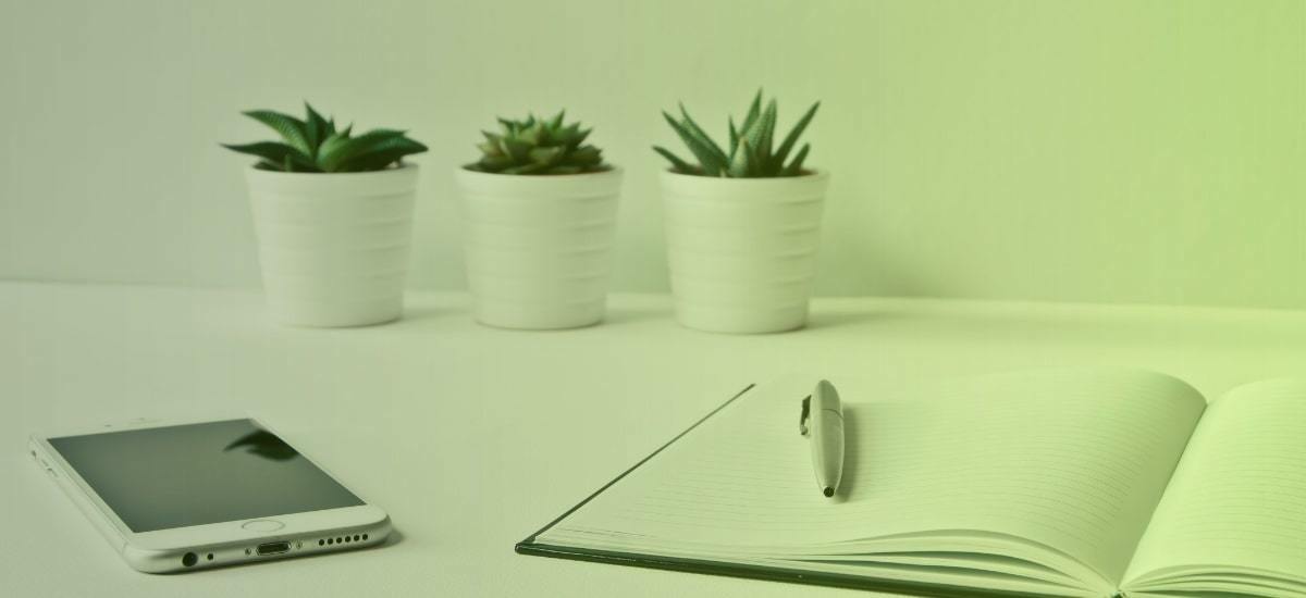 How to Write a Sales Email Introduction That Gets Read