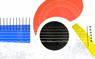 How Stringjoy Built Their Giant Instagram Following from Scratch