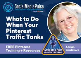 What to Do When Your Pinterest Traffic Tanks [Adrian Gentilcore]