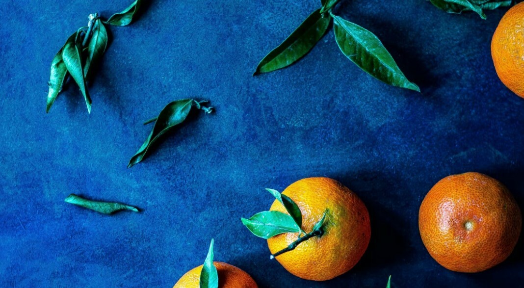 Albertsons Wins With Bloomreach Discovery