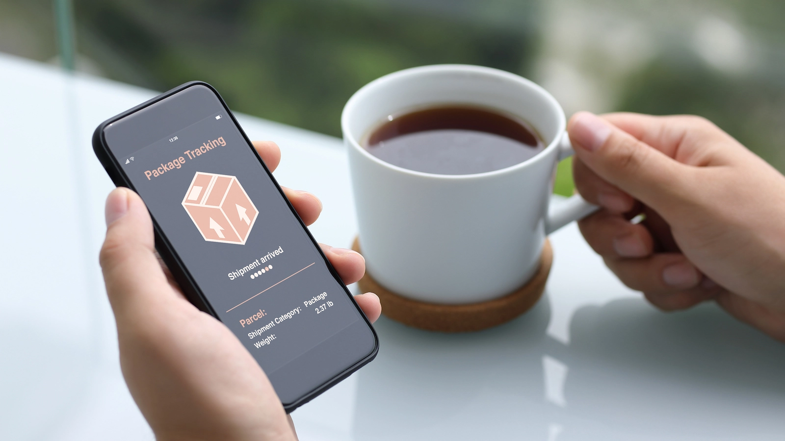 The 5 Best Cloud Shipping Companies of 2022