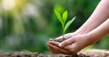 Sustainability templates to get to the heart of what your customers value most