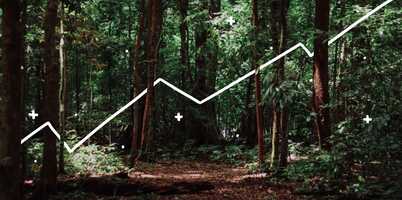 How to organically grow your Instagram: 5 proven ways to attract followers