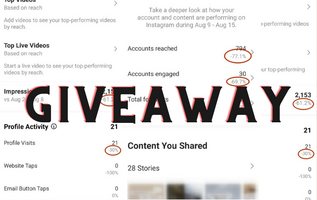 Giveaway affects Instagram statistics