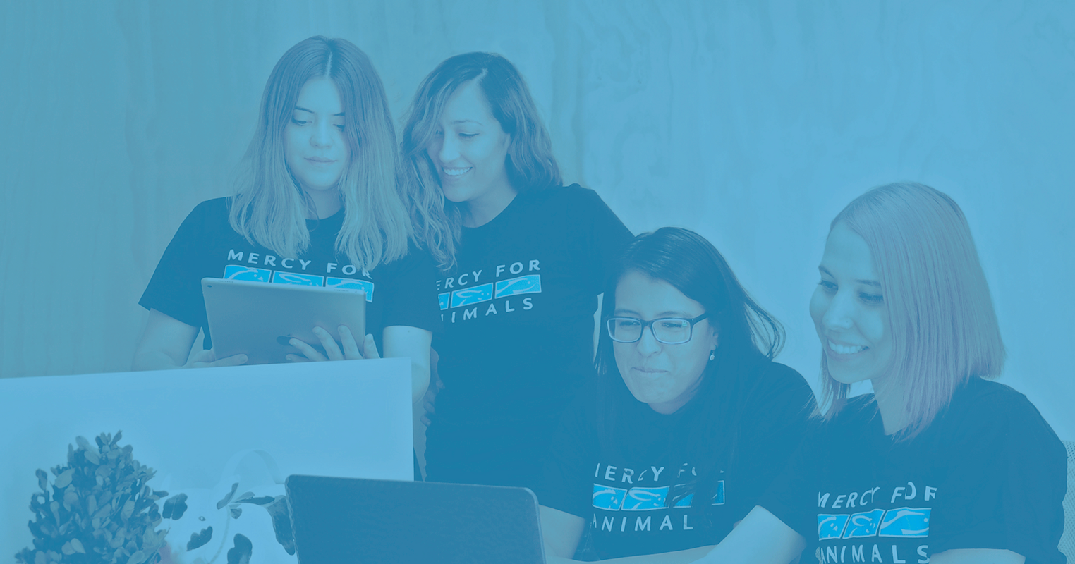 Behind-the-Scenes: How Mercy For Animals Gets Millions of Social Media Impressions Every Week