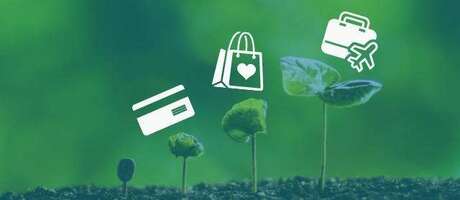 5 Ways to Increase Market Share Using Incentive Rewards