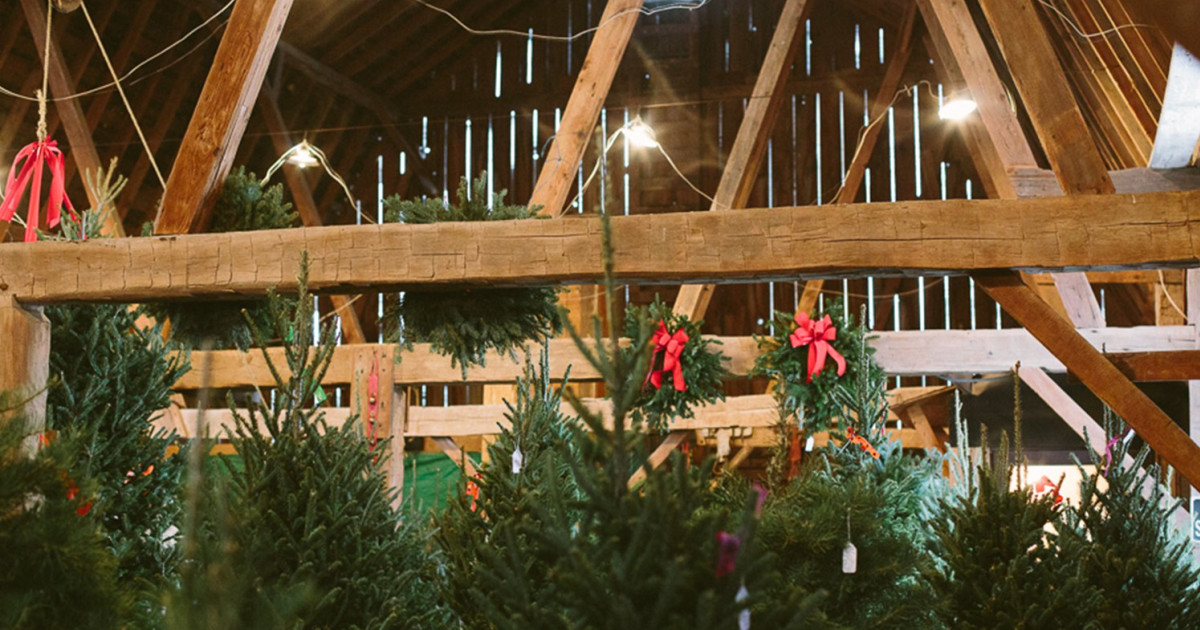 Seasonal Business? How to Get the Most Out of Square