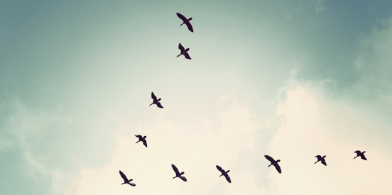 Get Teams On Message Faster With Modern Sales Training