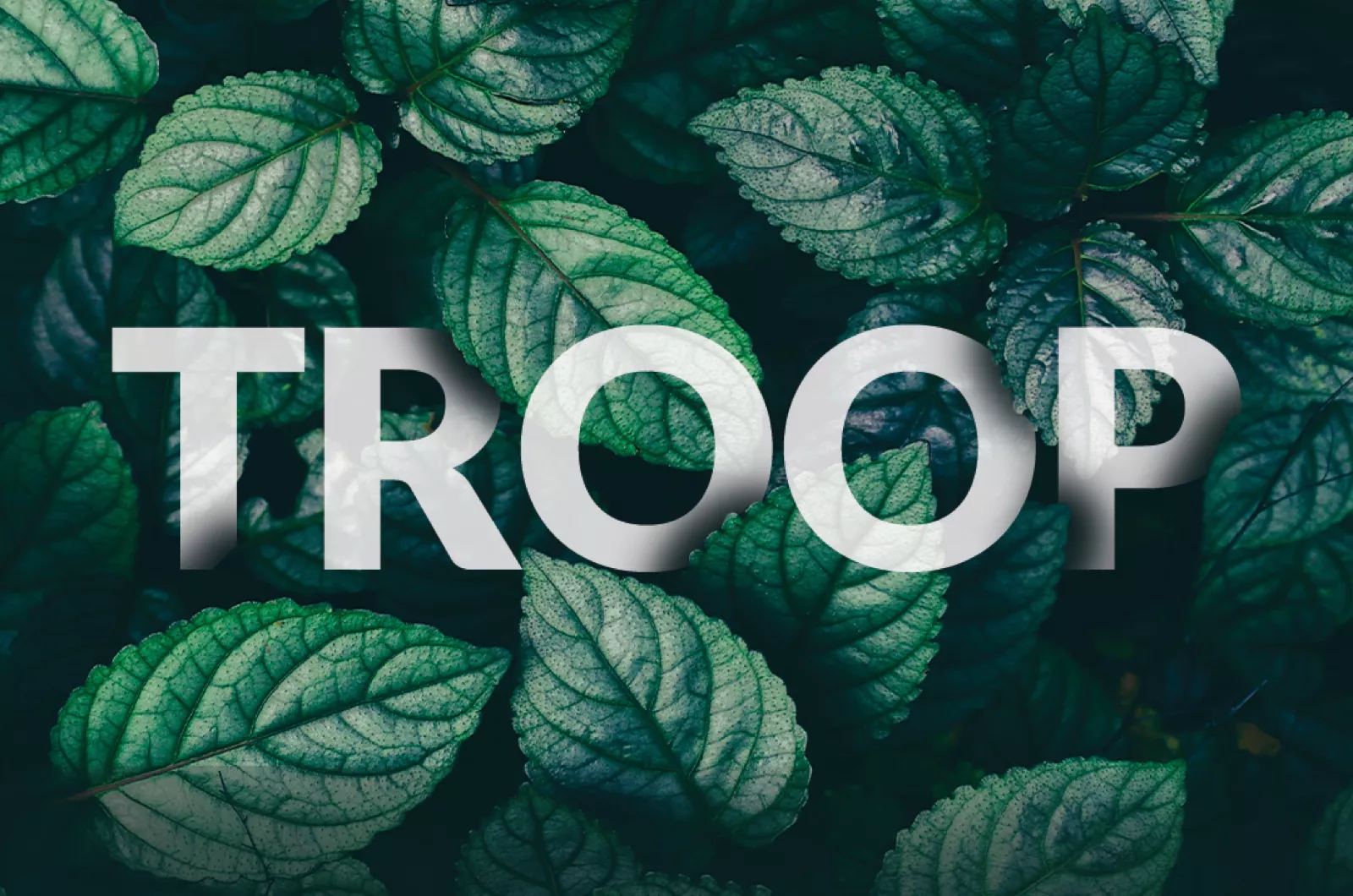 Why People Buy, with Katelyn Bourgoin | Silverback Strategies