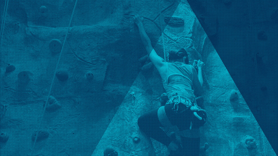 Avoiding the Hazards of Courageous Marketing