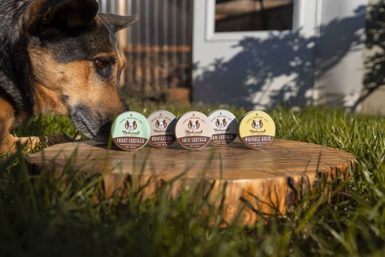 How Natural Dog Company Scaled their Amazon Sponsored Display Ads with Perpetua to Grow Sales by 4x