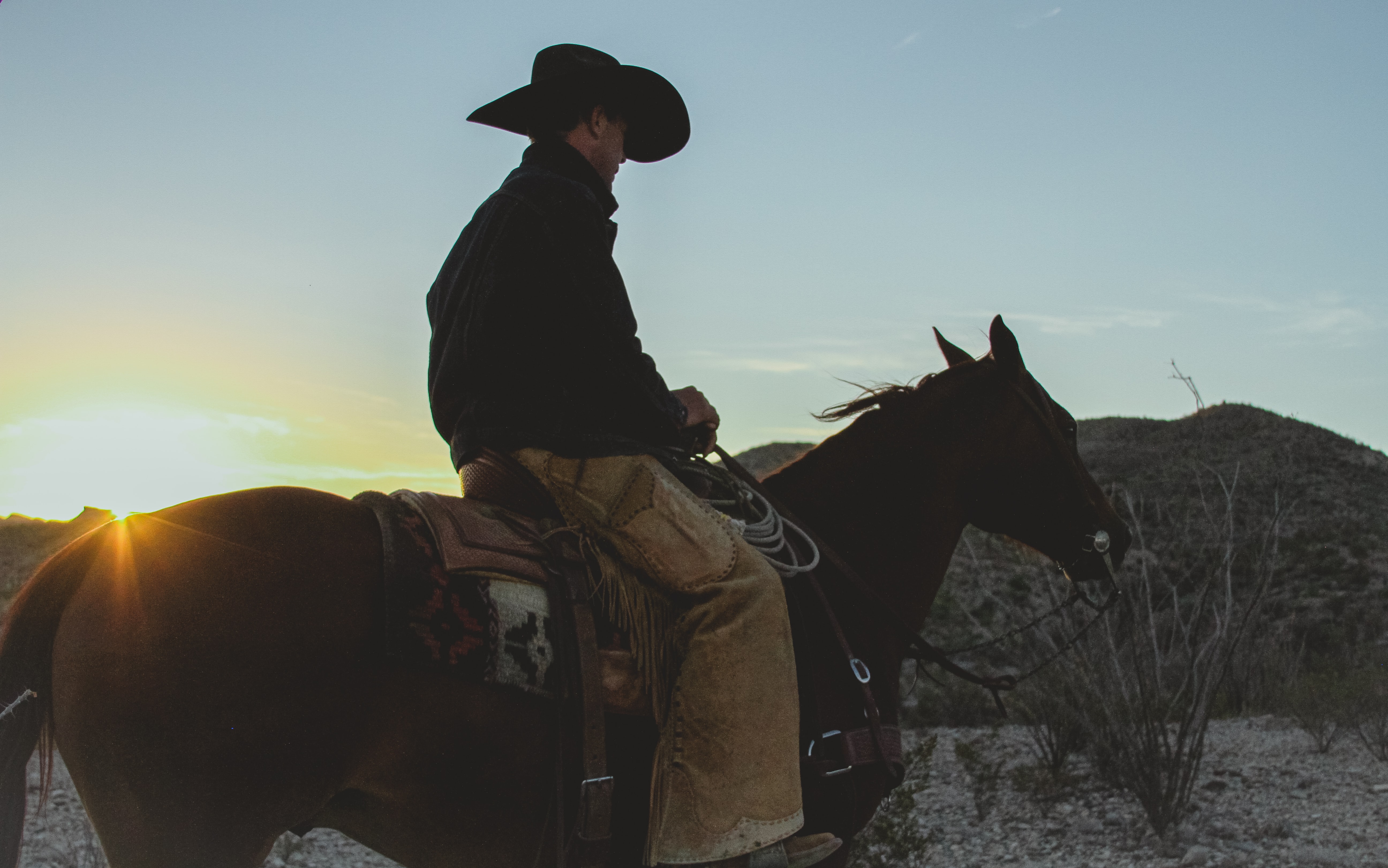 What is data wrangling? A cowboy-style explanation