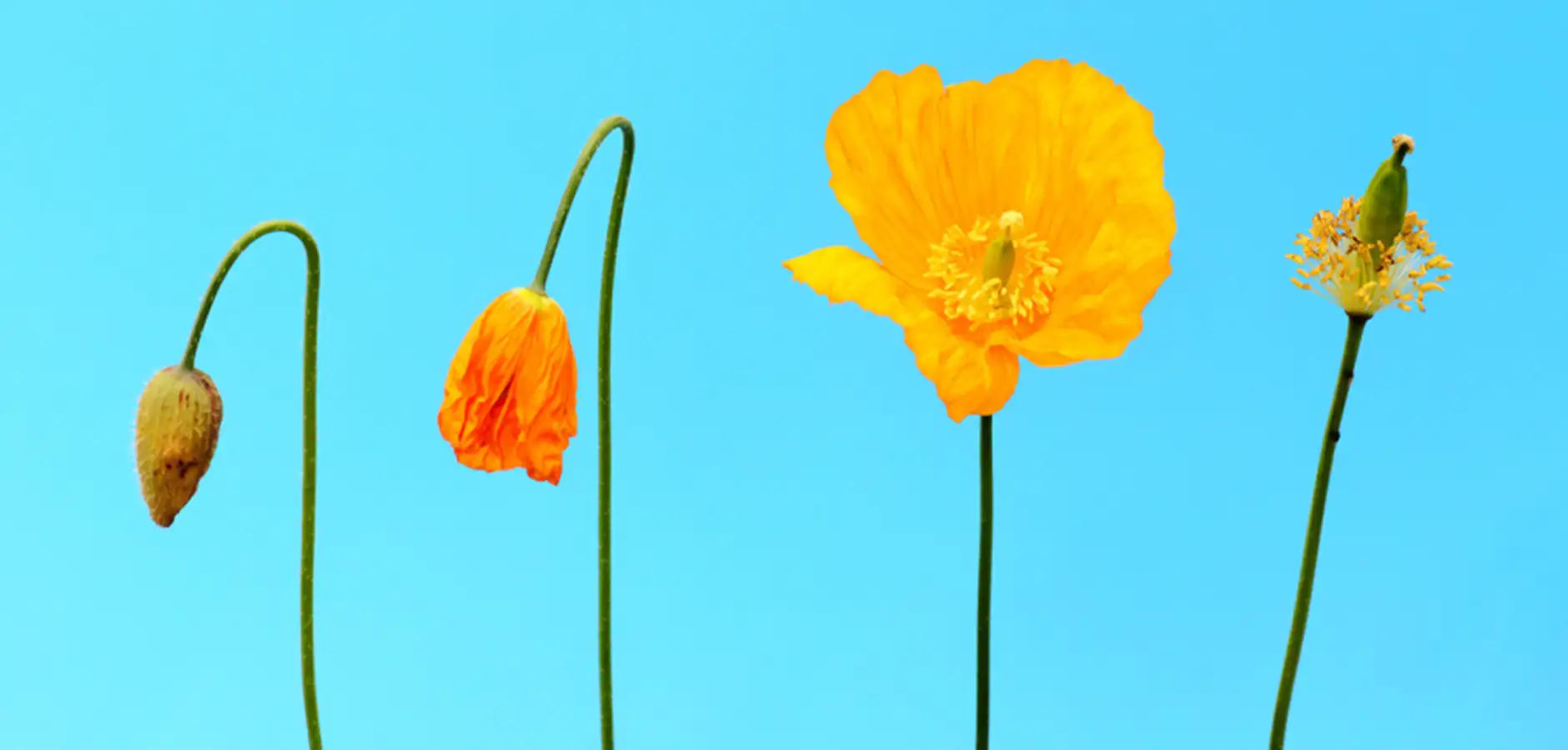 The recession-proof influencer: How to thrive when marketing spend dries up