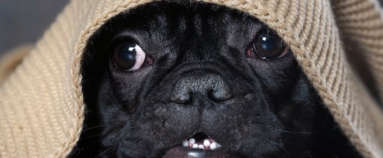 The 5-Step Process to Overcoming Your Selling Fears