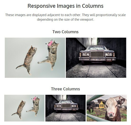 Creating Responsive Images with CSS