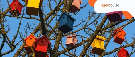 What to Tweet: Content Tips for Experienced Social Media Managers