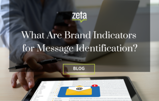 What Are Brand Indicators for Message Identification?